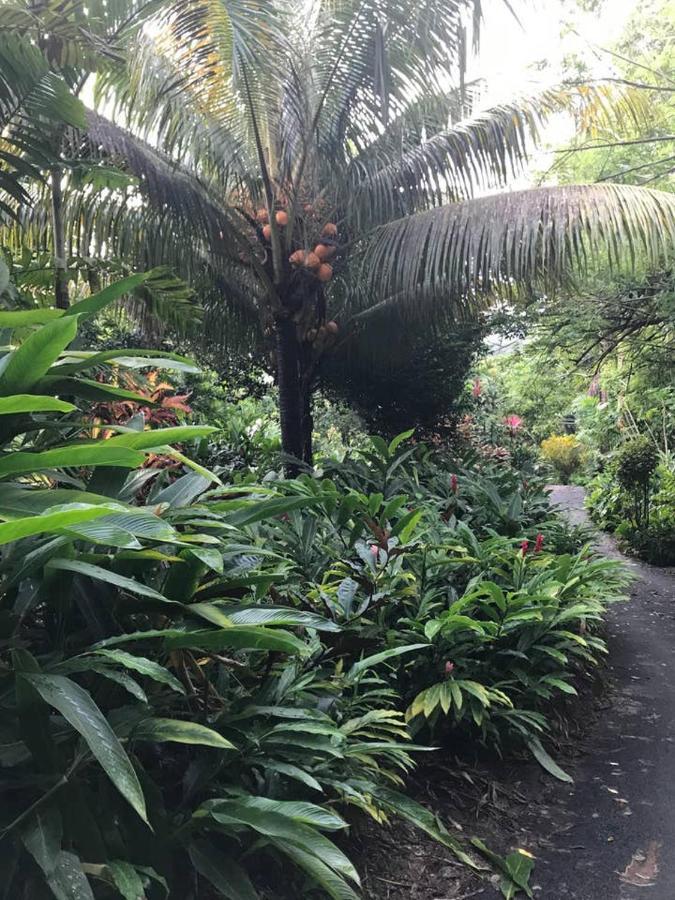 Tropical Garden Self Catering Villa วิกตอเรีย ภายนอก รูปภาพ